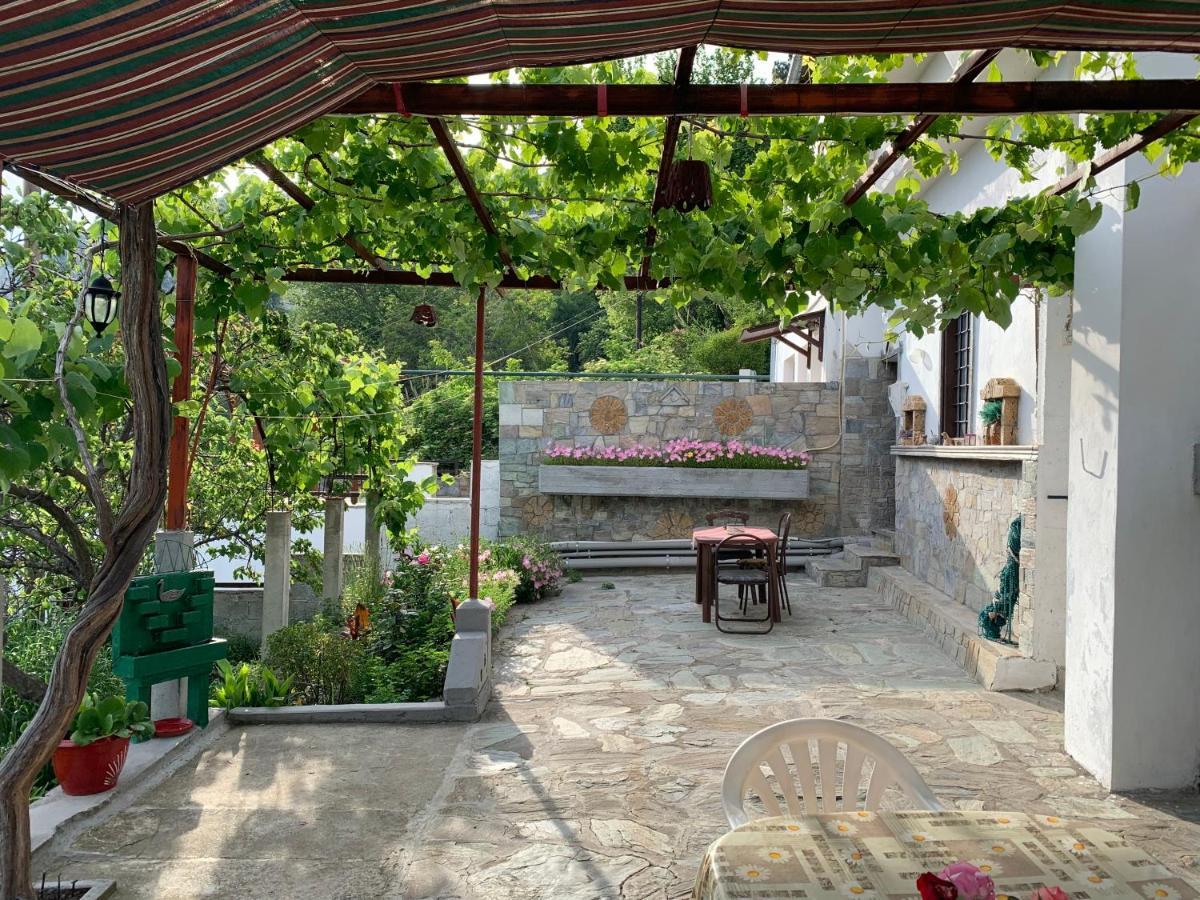 Η Θεα Traditional House Makrinitsa Ngoại thất bức ảnh